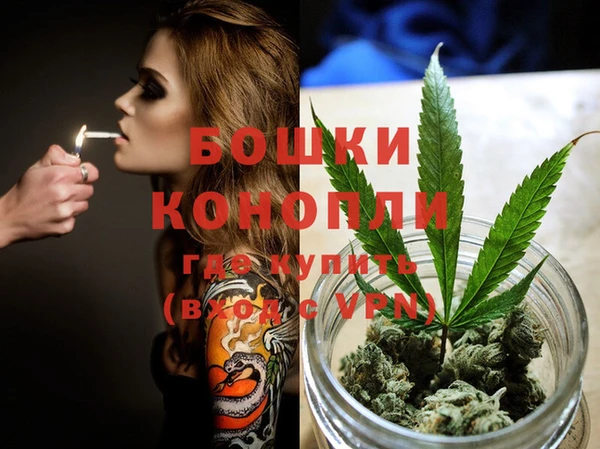 метадон Богданович
