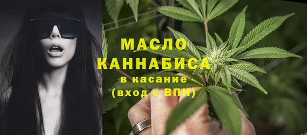 дмт Богородицк