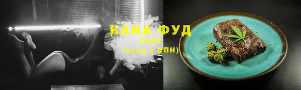 дмт Богородицк