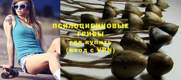 прущие крисы Верхний Тагил