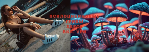 прущие крисы Верхний Тагил