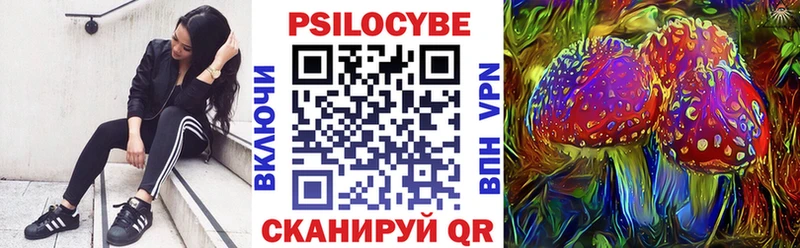 дарнет шоп  Заринск  Псилоцибиновые грибы мицелий 